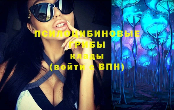 ПСИЛОЦИБИНОВЫЕ ГРИБЫ Балабаново